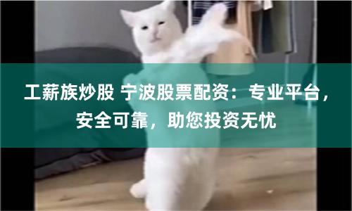 工薪族炒股 寧波股票配資：專業(yè)平臺(tái)，安全可靠，助您投資無憂